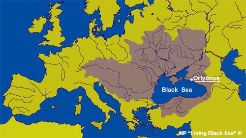 Fekete-tenger vízgyűjtő területe